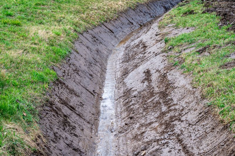 Professional Drainage Consultation